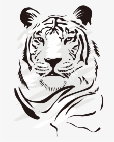 Bengal-tiger - Tiger Vector Art Png, Transparent Png, Transparent PNG