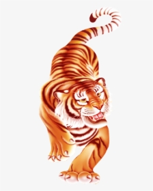 Tiger Png, Transparent Png, Transparent PNG