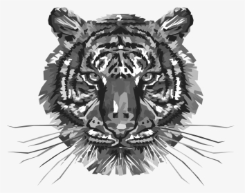 Transparent Roaring Tiger Png - Colorful Tiger, Png Download, Transparent PNG