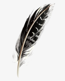 A Black Pattern Feathers Png Download - Black Feather Png, Transparent Png, Transparent PNG