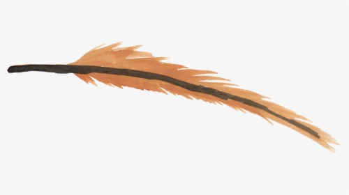Feather Watercolor Png Brown, Transparent Png, Transparent PNG
