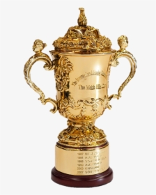 Rugby World Cup - Rugby World Cup Png, Transparent Png, Transparent PNG