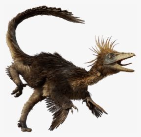 Dfhj - Dinosaurs Troodon, HD Png Download, Transparent PNG
