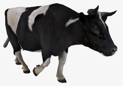 Cow Png, Transparent Png, Transparent PNG