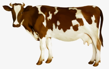 Simmental Cattle Milk Dairy Cattle Calf - Dairy Cow, HD Png Download, Transparent PNG