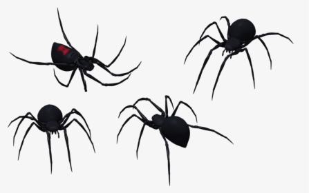 Black Widow Spider Set 09 By Free Stock By Wayne On - Spider Png Vector, Transparent Png, Transparent PNG
