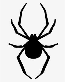 Spider Clipart Arthropod - Silhouette Spider Web Png, Transparent Png, Transparent PNG