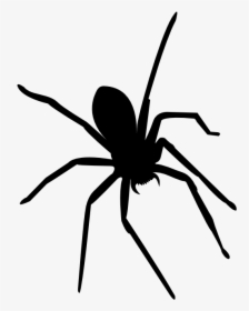 Widow Spiders Insect Mosquito Ant - Tangle-web Spider, HD Png Download, Transparent PNG