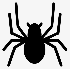 Spider - Spider Clipart, HD Png Download, Transparent PNG