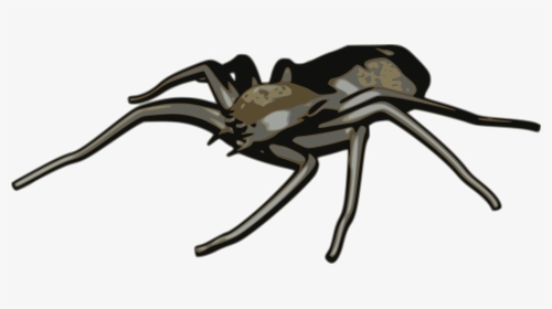 Tangle Web Spider,black Widow,spider - Arachne Weaver Clipart, HD Png Download, Transparent PNG