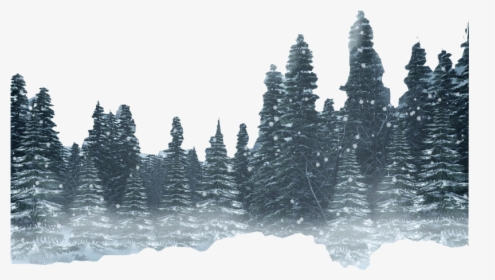 Forest Png Hd Photo - Winter Forest Transparent Background, Png Download, Transparent PNG