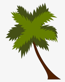 Plant,leaf,tree - Beach Resort, HD Png Download, Transparent PNG