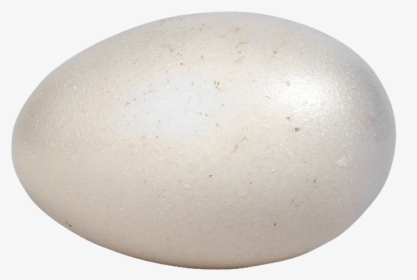 Eggs - Sphere, HD Png Download, Transparent PNG