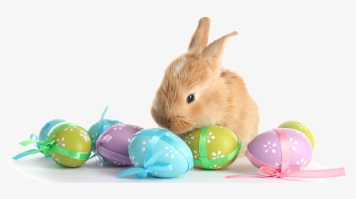 Real Easter Eggs Png - Easter Bunny And Eggs Png, Transparent Png, Transparent PNG