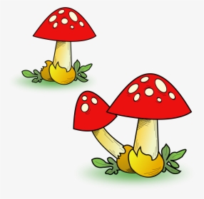 Heavy Fungal Forest Clip Arts - Mushroom Clipart, HD Png Download, Transparent PNG