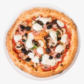 Midici Neapolitan Pizza - Forest Midici Pizza, HD Png Download, Transparent PNG