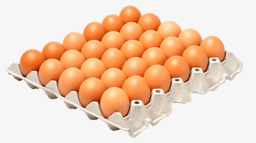 Chicken Egg 1 Tray, HD Png Download, Transparent PNG