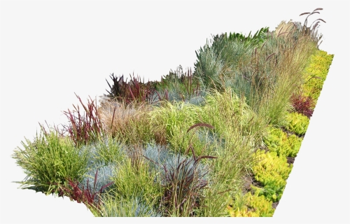 Garden Ideas Garden Design Landscaping Landscape Design - Vegetation Png, Transparent Png, Transparent PNG