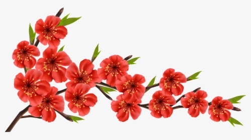 Red Flowers Png - Cherry Blossom Red Png, Transparent Png, Transparent PNG