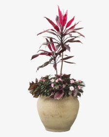Indoor Plant Potted Plants Png Download - Potted Plants Png Flowers, Transparent Png, Transparent PNG