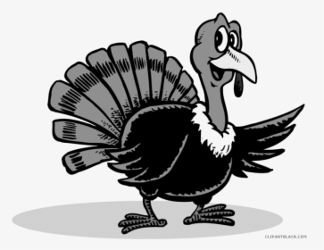 Transparent Funny Clipart - Black And Yellow Turkey, HD Png Download, Transparent PNG