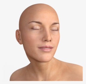 Woman, Bald Head, Face, Head, Profile, Display Dummy - Bald Hair Png, Transparent Png, Transparent PNG
