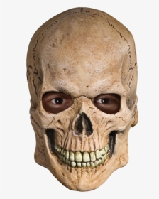 Skull - Human Skull Transparent Background, HD Png Download, Transparent PNG