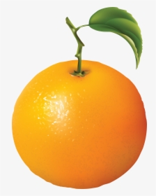 Orange Png Image, Free Download - Orange Fruit Clipart Png, Transparent Png, Transparent PNG