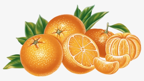 Orange Png Image, Free Download - Orange Png, Transparent Png, Transparent PNG