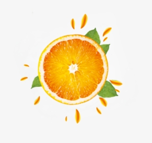 Transparent Orange Png - Clementine, Png Download, Transparent PNG