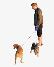 Transparent Group Of People Png - Walking Dog Transparent Background, Png Download, Transparent PNG