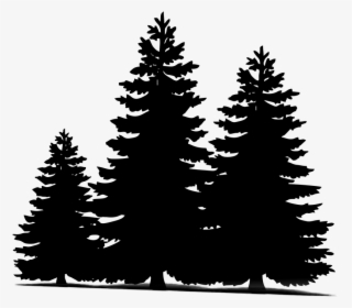 Pine, Trees, Christmas, Sillueta, Winter - Transparent Pine Tree Silhouette, HD Png Download, Transparent PNG