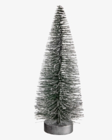 Fir Tree Png Image File - Christmas Tree, Transparent Png, Transparent PNG