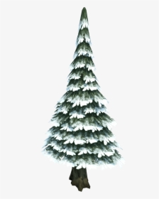 Snow Pine Tree Png, Transparent Png, Transparent PNG