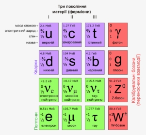 Standard Model Of Elementary Particles Ua - Model Of Elementary Particles, HD Png Download, Transparent PNG