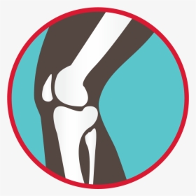 Bones Of The Knee Joint Graphic - Howth, HD Png Download, Transparent PNG