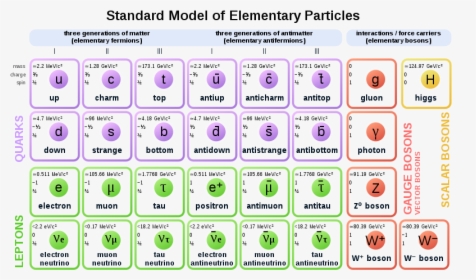Standard Model Particles, HD Png Download, Transparent PNG