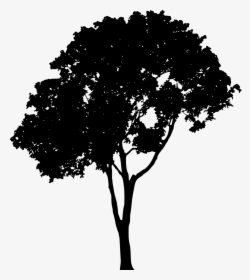 Transparent Silhouette Png Images - Trees Vector Png Free, Png Download, Transparent PNG