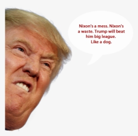 Stock Transparent Face Trump Funnypictures Png Stock - Transparent Donald Trump Head, Png Download, Transparent PNG
