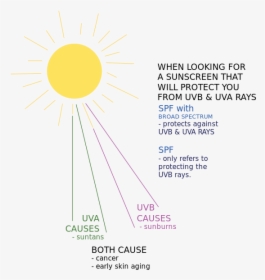 Sun Rays Diagram - Diagram Of Suns Rays, HD Png Download, Transparent PNG
