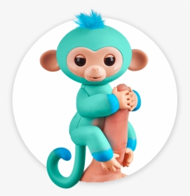 Fingerlings Monkey 2tone Ombre Eddie - Fingerlings Charlie, HD Png Download, Transparent PNG