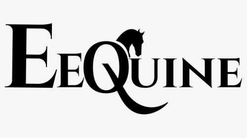 Eequine - Stallion, HD Png Download, Transparent PNG