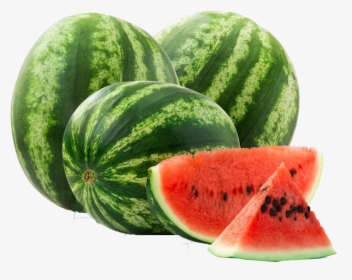 Tropical Watermelon Png Clipart - Single Fruit With Name, Transparent Png, Transparent PNG