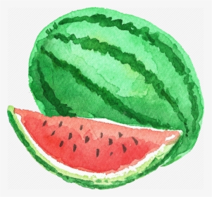 Watercolor Watermelon Png, Transparent Png, Transparent PNG