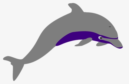 Dolphin Vector 11, Buy Clip Art - Dolphin Jump Png, Transparent Png, Transparent PNG