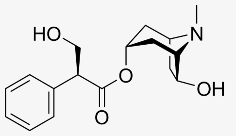 Anisodamine Chemical Structure - Boc L Phenylalanine Methyl Ester, HD Png Download, Transparent PNG