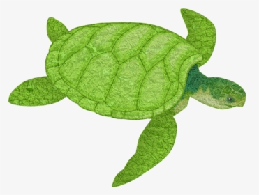 Turtle, Animal, Sea Animal, Tortoise, Slow Turtles - Transparent Background Sea Turtle, HD Png Download, Transparent PNG