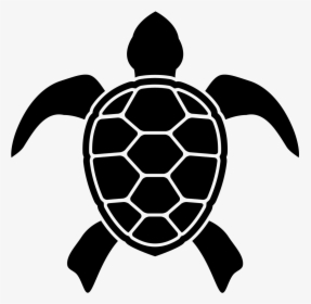 Turtle Silhouette Png - Sea Turtle Icon, Transparent Png, Transparent PNG