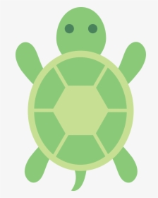 Turtle Clipart, HD Png Download, Transparent PNG