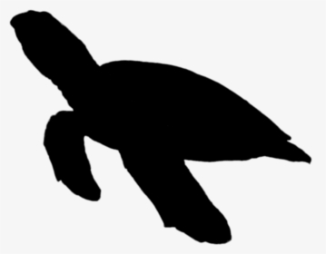 Turtle Silhouette Png - Clipart Sea Turtle Silhouette, Transparent Png, Transparent PNG